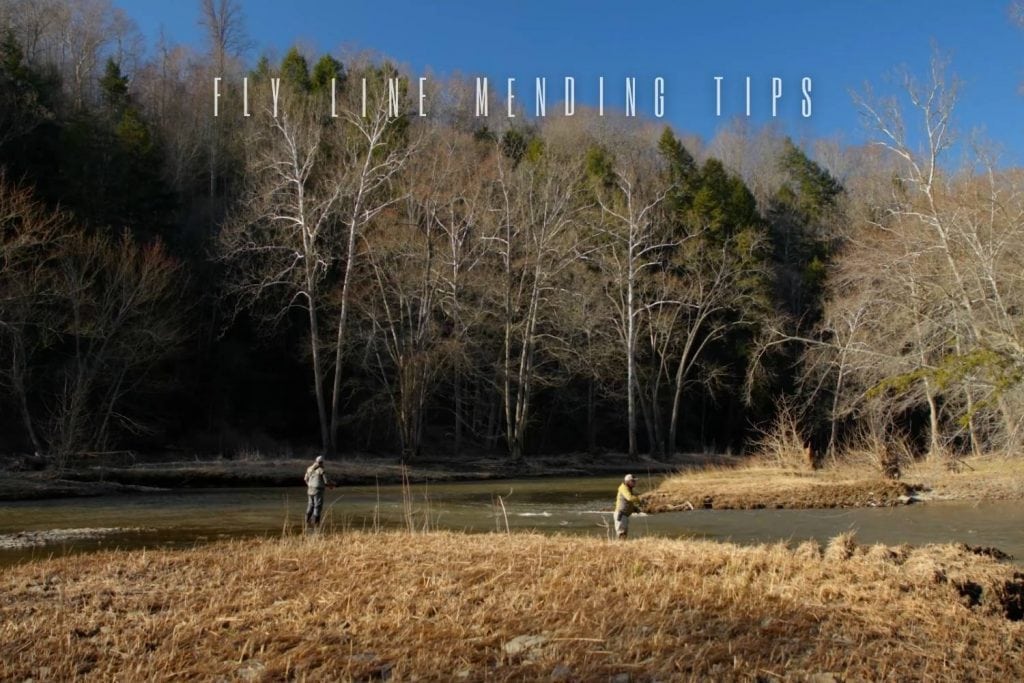 fly line mending tips