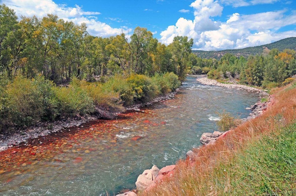 Fly Fishing Colorado (The 2019 Guide With Maps!)