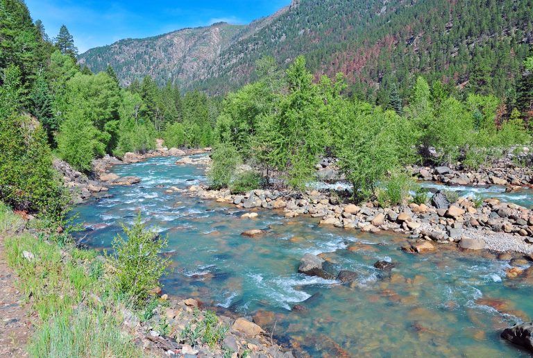 10 Best Fly Fishing Rivers in Colorado Where to Fish CO