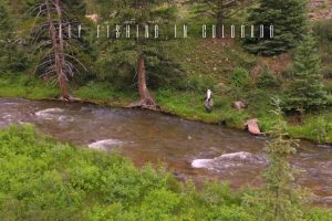 fly fishing colorado