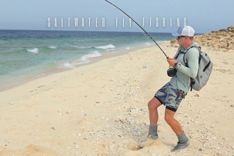 Complete Glossary of Fly Fishing Terms & Definitions (Updated 2022)