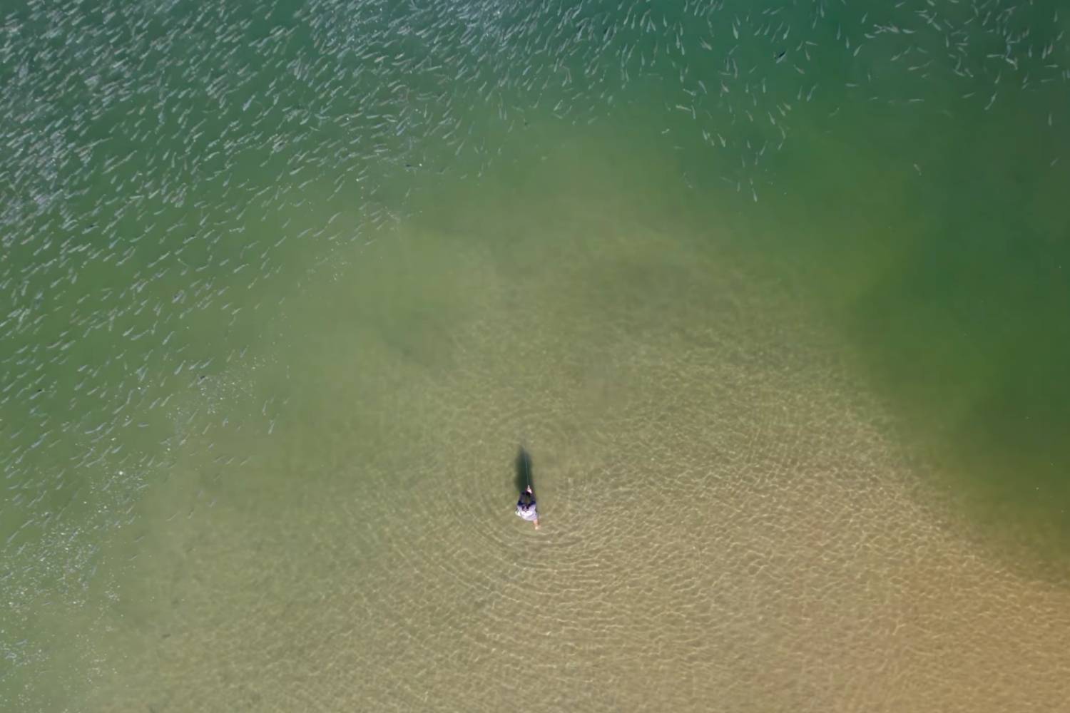 Saltwater Fly Fishing Tips, Tackle & Techniques