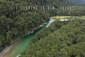 fly fishing in new zealand