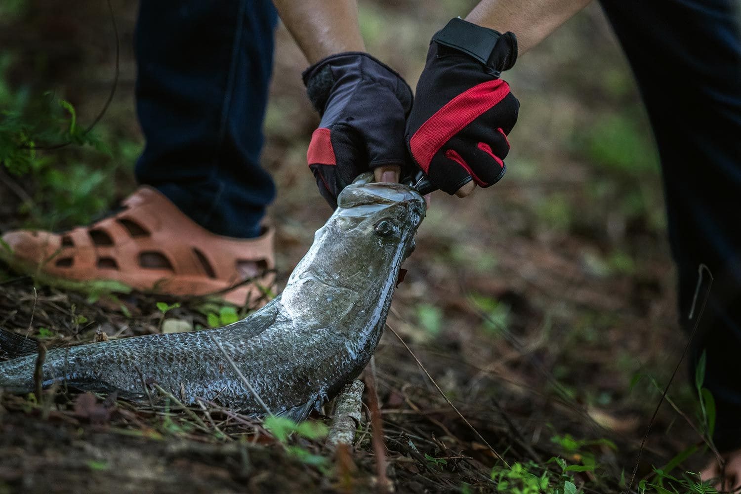 best fly fishing pliers