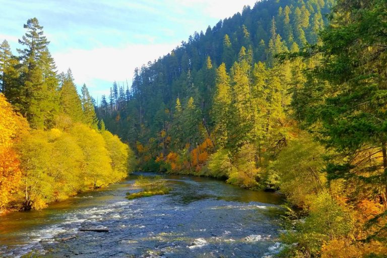 10 Best Locations for Fly Fishing in Oregon Where to Fish OR