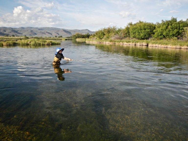 11 Best Places for Fly Fishing Idaho Where to Fish ID