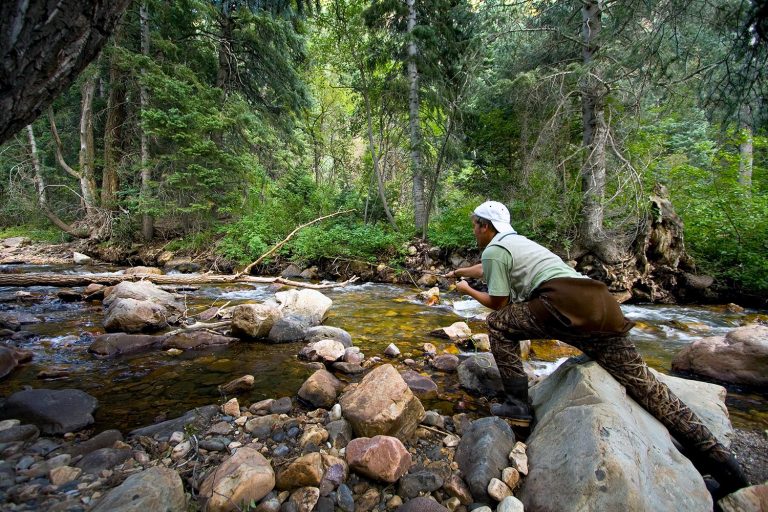 Fly Fishing Michigan Guide 2020 Fly Fisher Pro