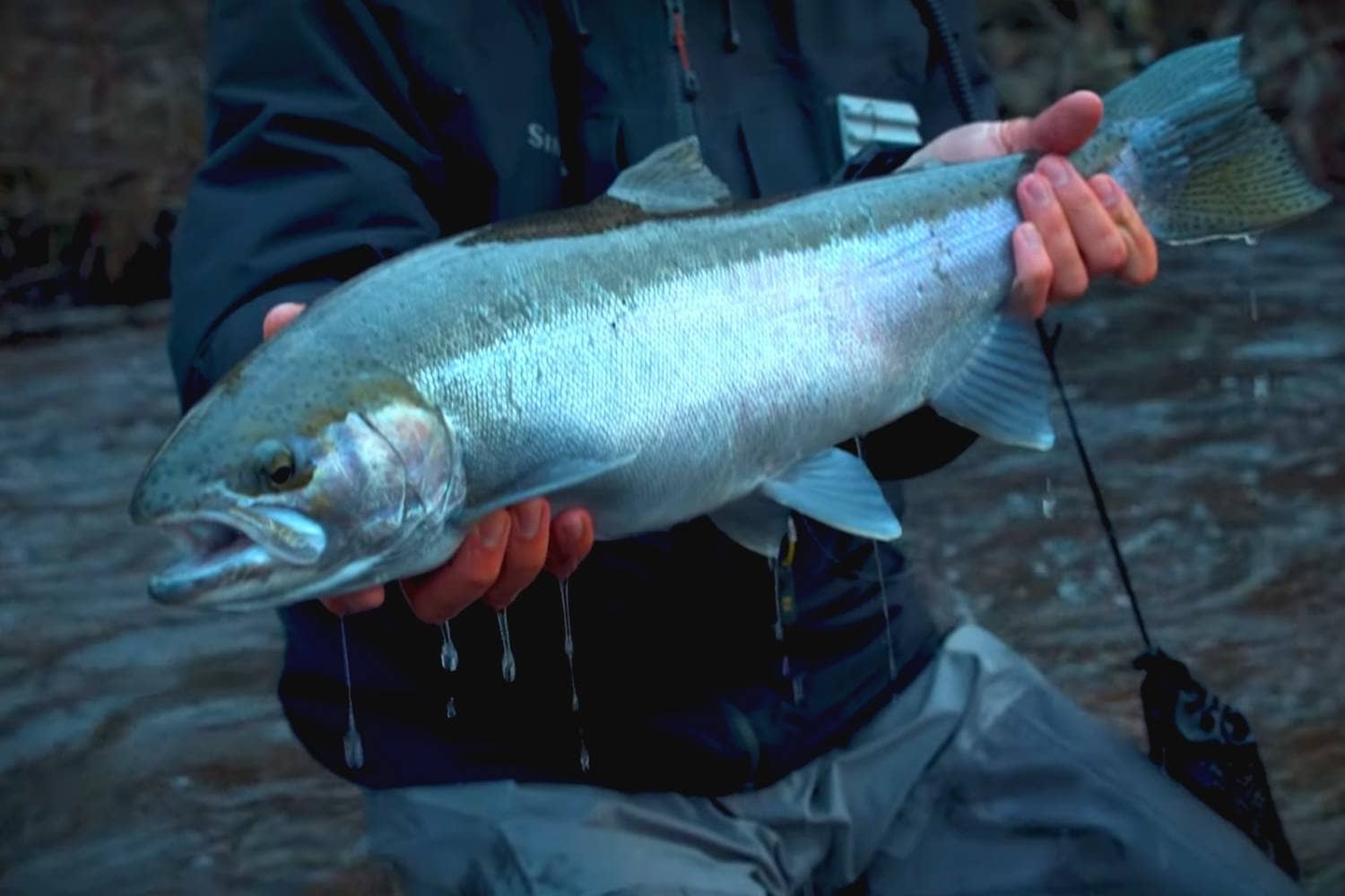 Understanding Barometric Pressure and Fishing