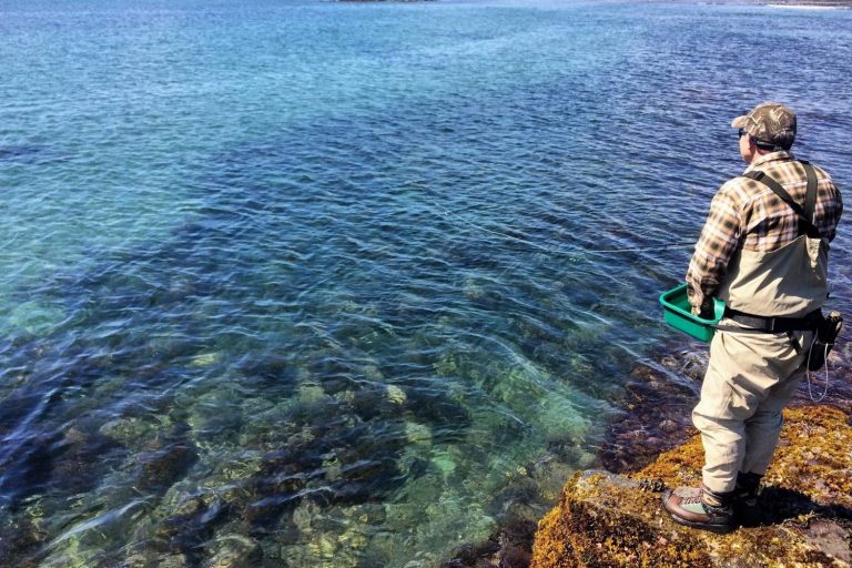 6 Best Places for Fly Fishing in Maine Where to Fish ME