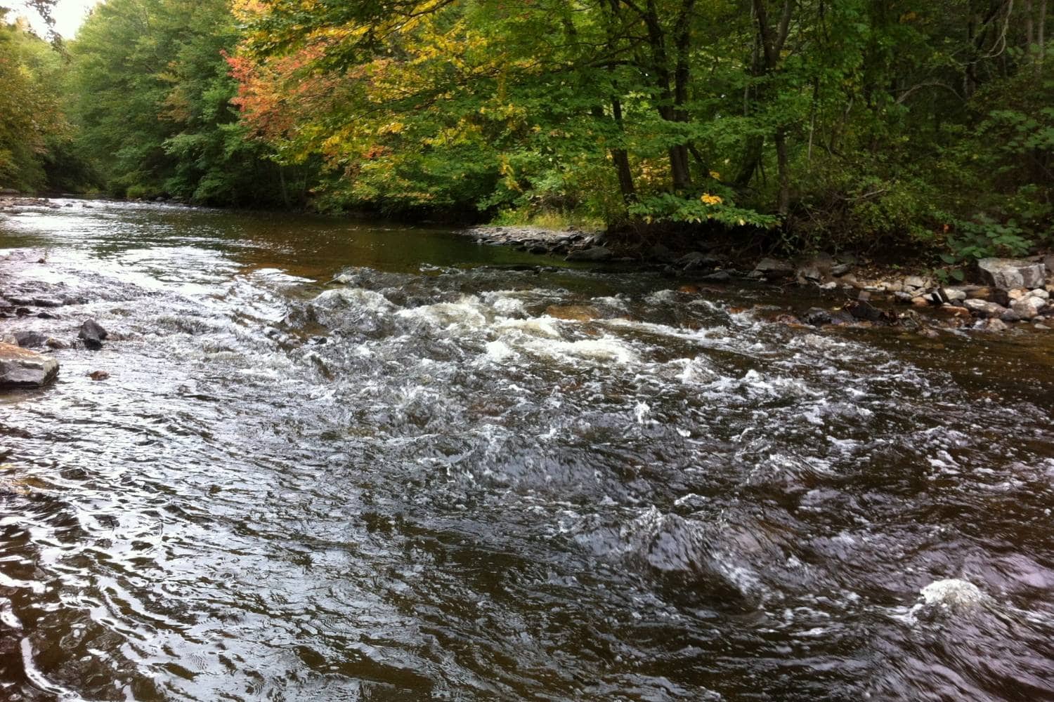 9 Best Places for Fly Fishing in Connecticut - Where to Fish CT