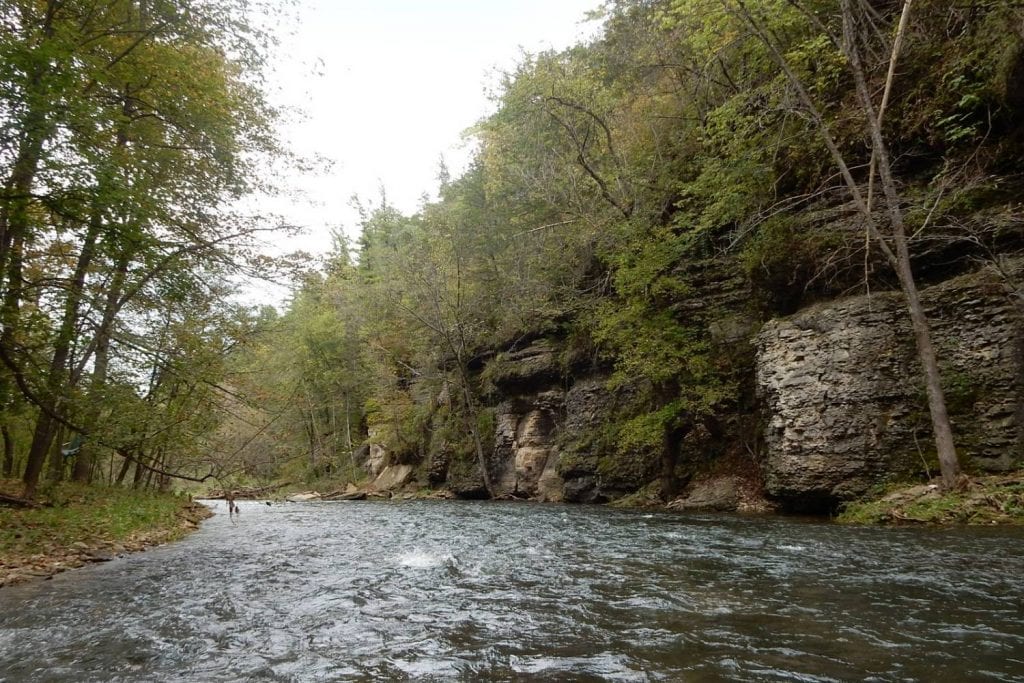 South Branch Root River