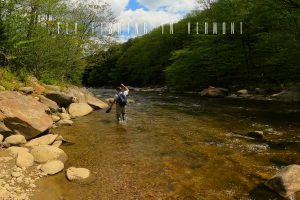 fly fishing in vermont