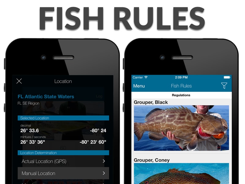 fish rules