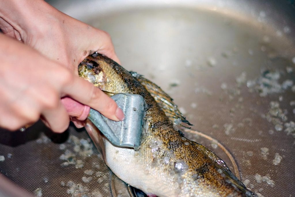 What Is Best Fish Scaler? (Or Is A Knife Enough?)