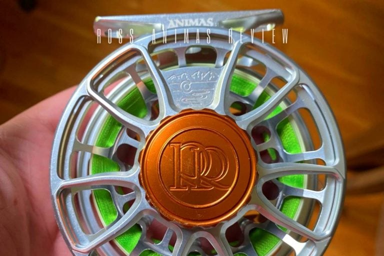 Ross Animas Review in 2022 Fly Reels