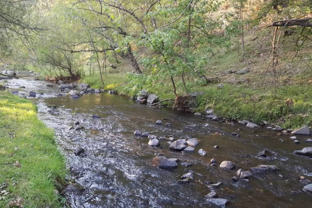 Fly Fishing South Dakota 2020 Destination Guide