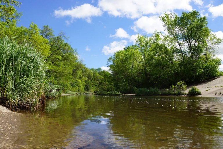 Fly Fishing Wisconsin 2020 Destination Guide