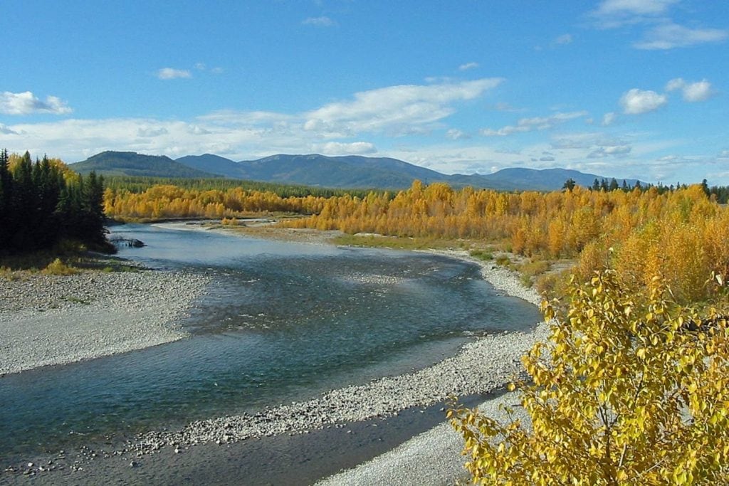 North Fork of the Flathead River