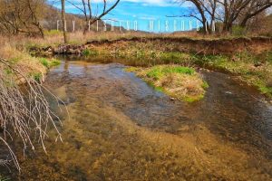 fly fishing wisconsin
