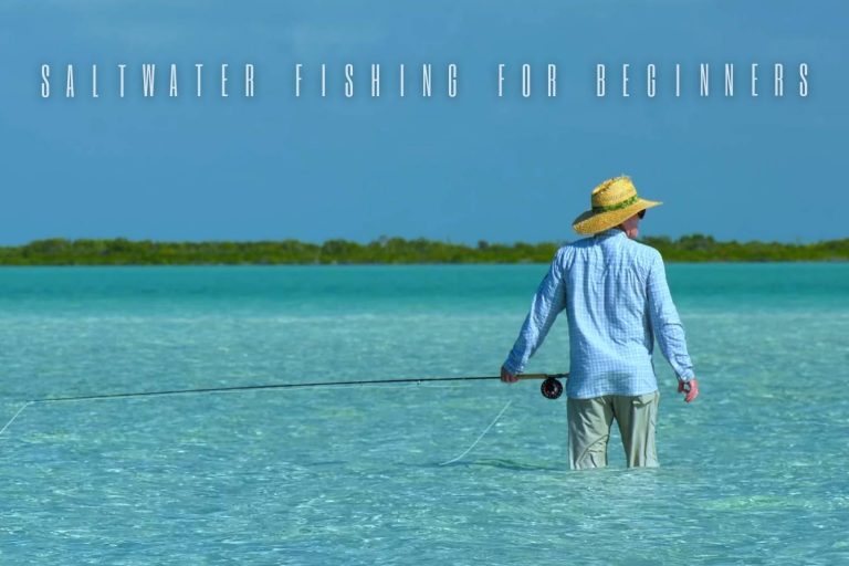 Saltwater Fly Fishing for Beginners in 2023