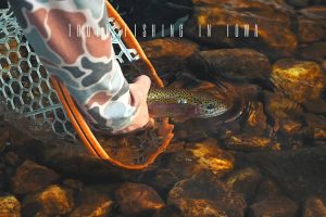 fly fishing iowa
