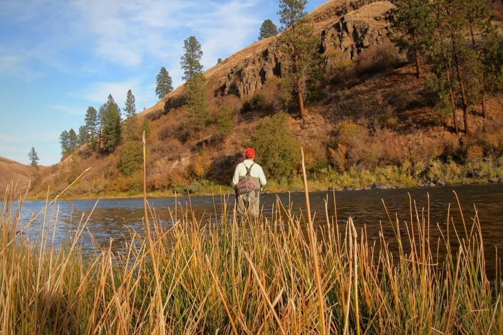 6 weight fly rod action