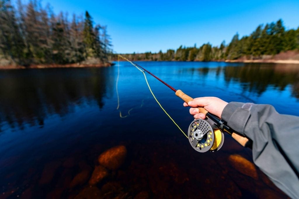 8 weight fly line