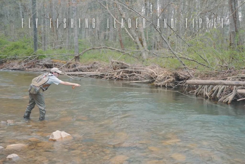 Fly Fishing Leader and Tippet Explained