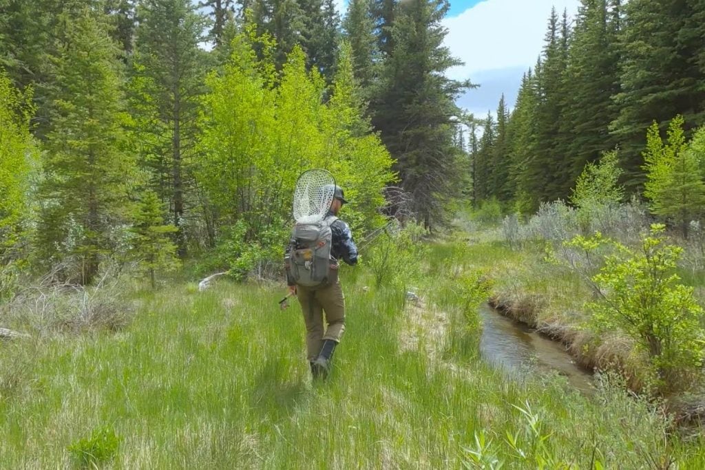 How To Know What Size Tippet To Use
