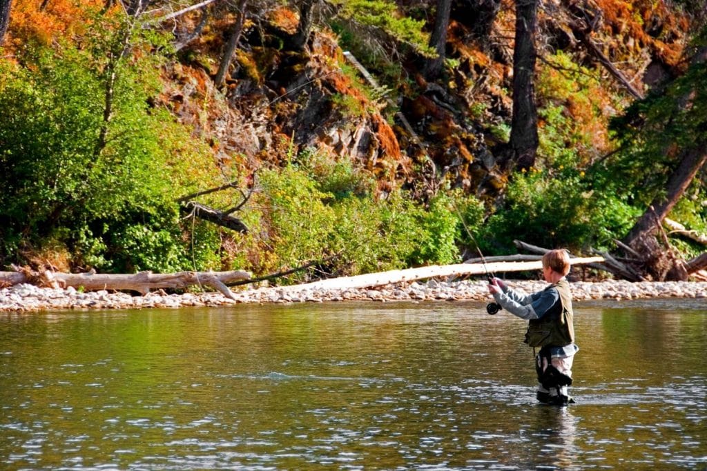 What is a 4 weight fly rod good for