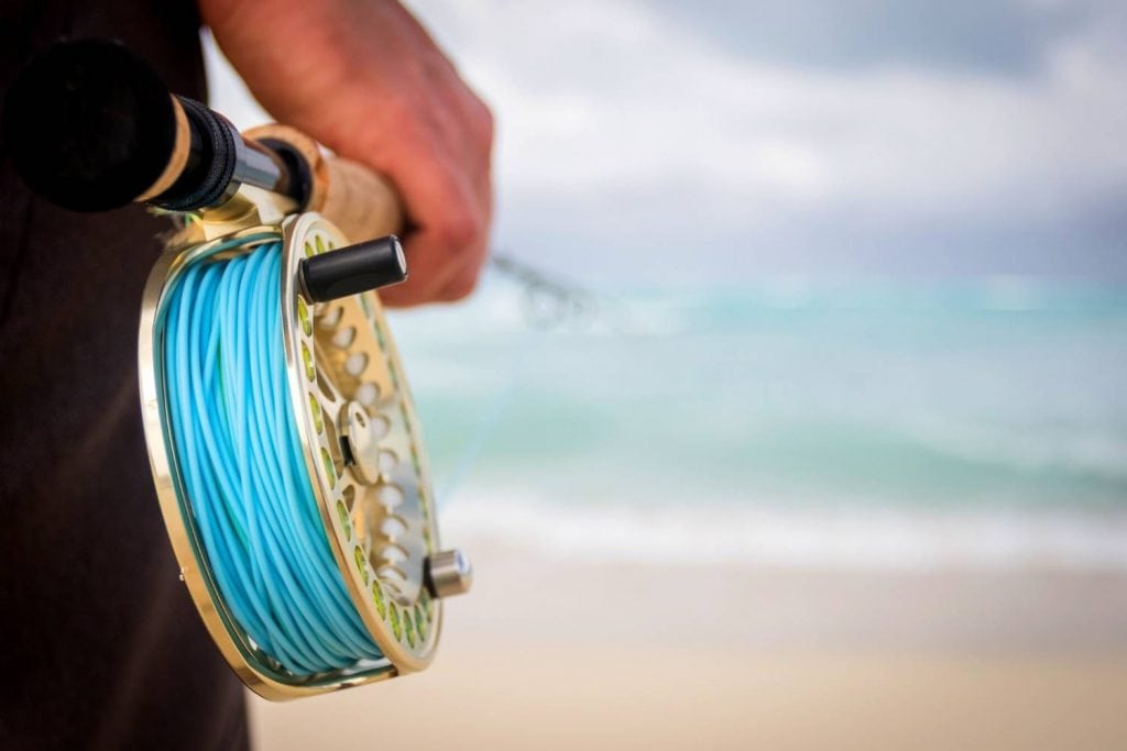 beginner fly reels