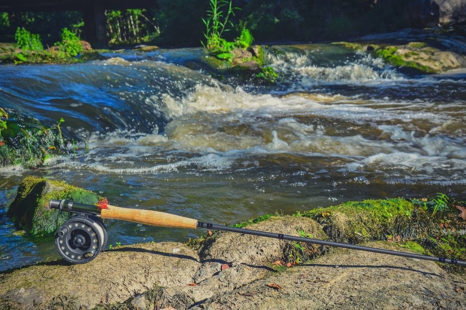 The 8 Best Fly Rod Combos in 2023 Buyers Guide