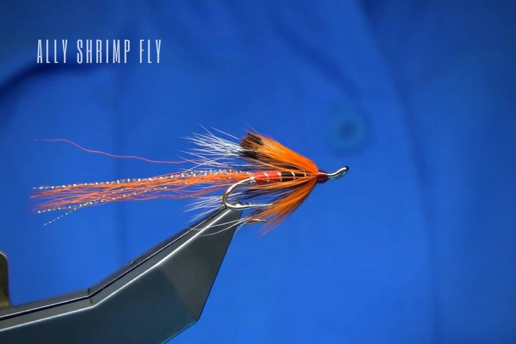 Ally Shrimp Fly