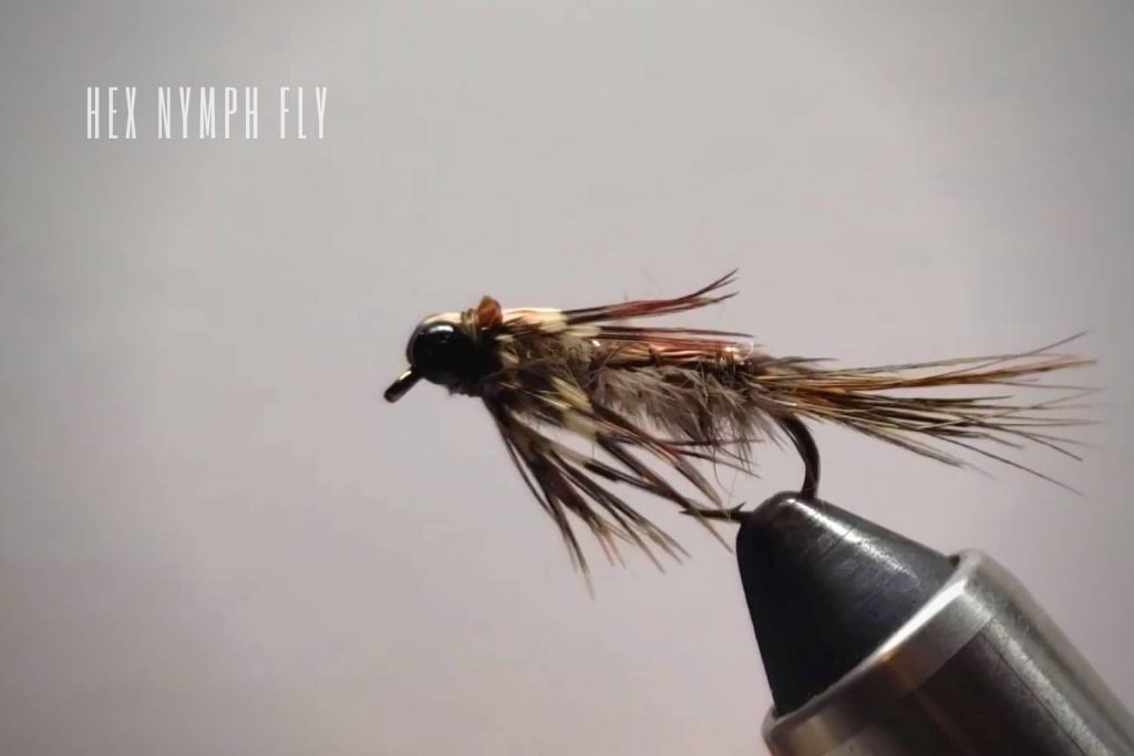 Hex Nymph Fly