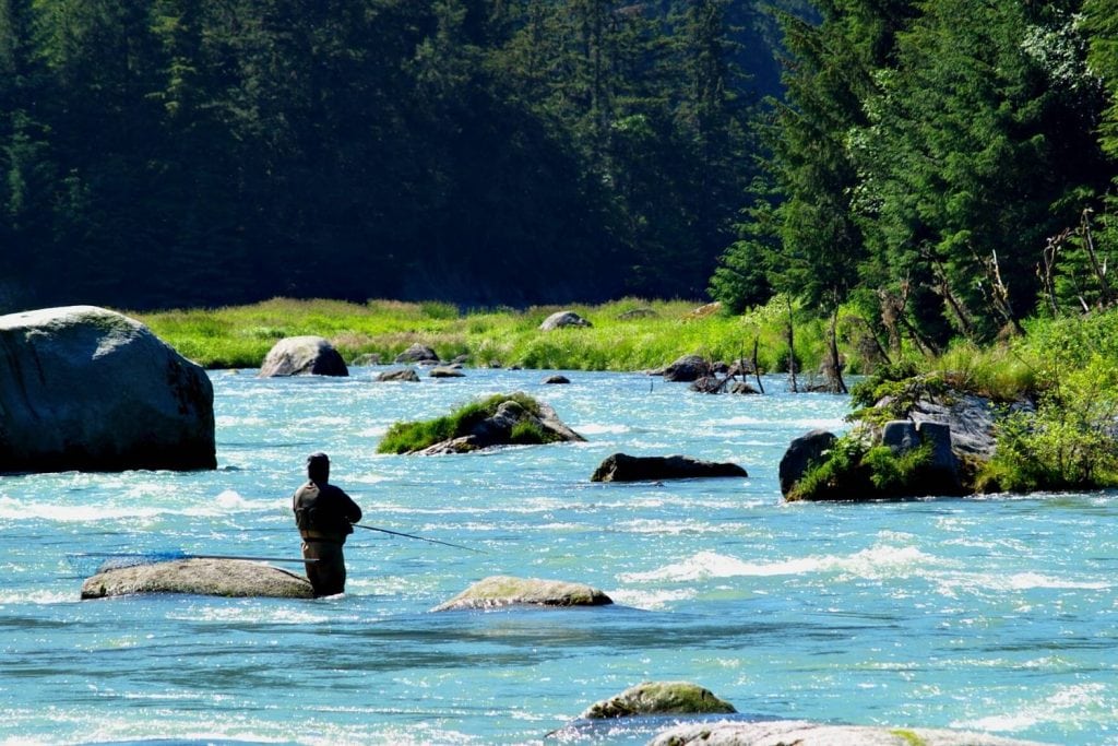 rods better for salmon