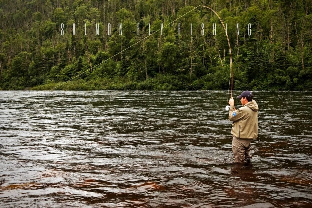 salmon fly fishing