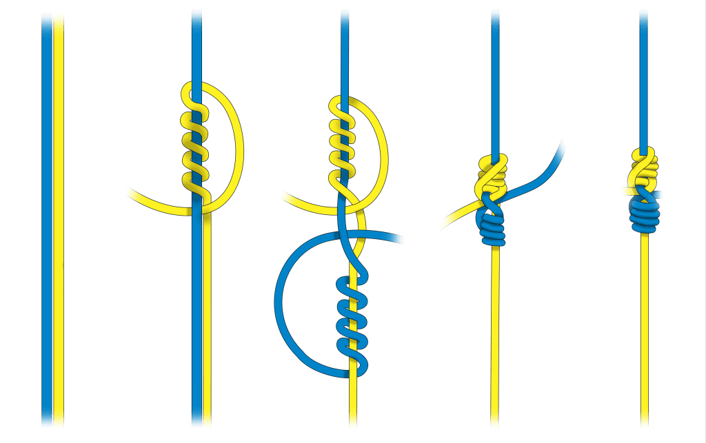 blood knot