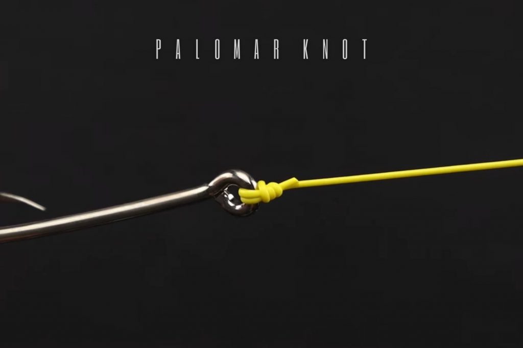 the palomar knot