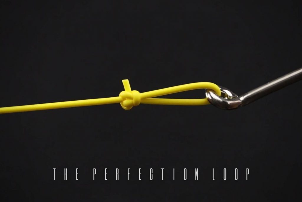the Perfection Loop