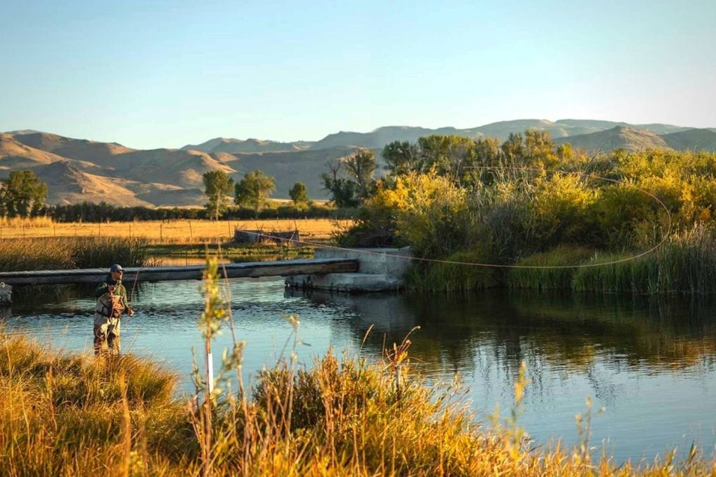 Which fly line works best with the Trout LL