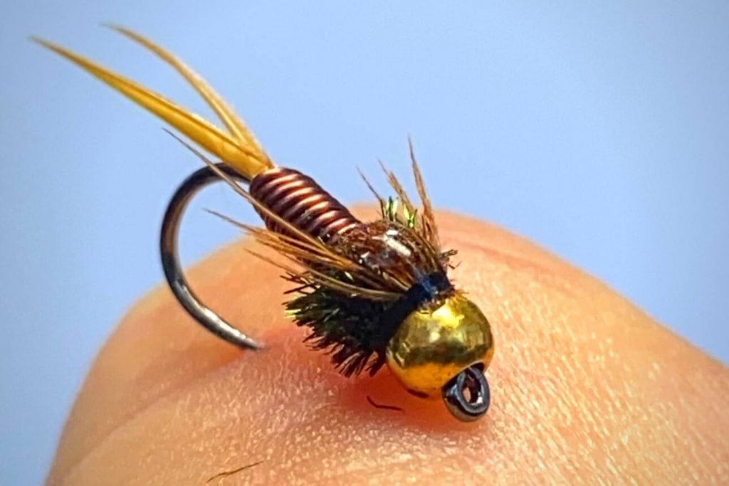 Learn How to Tie a Copper John Fly for Fly Fishing