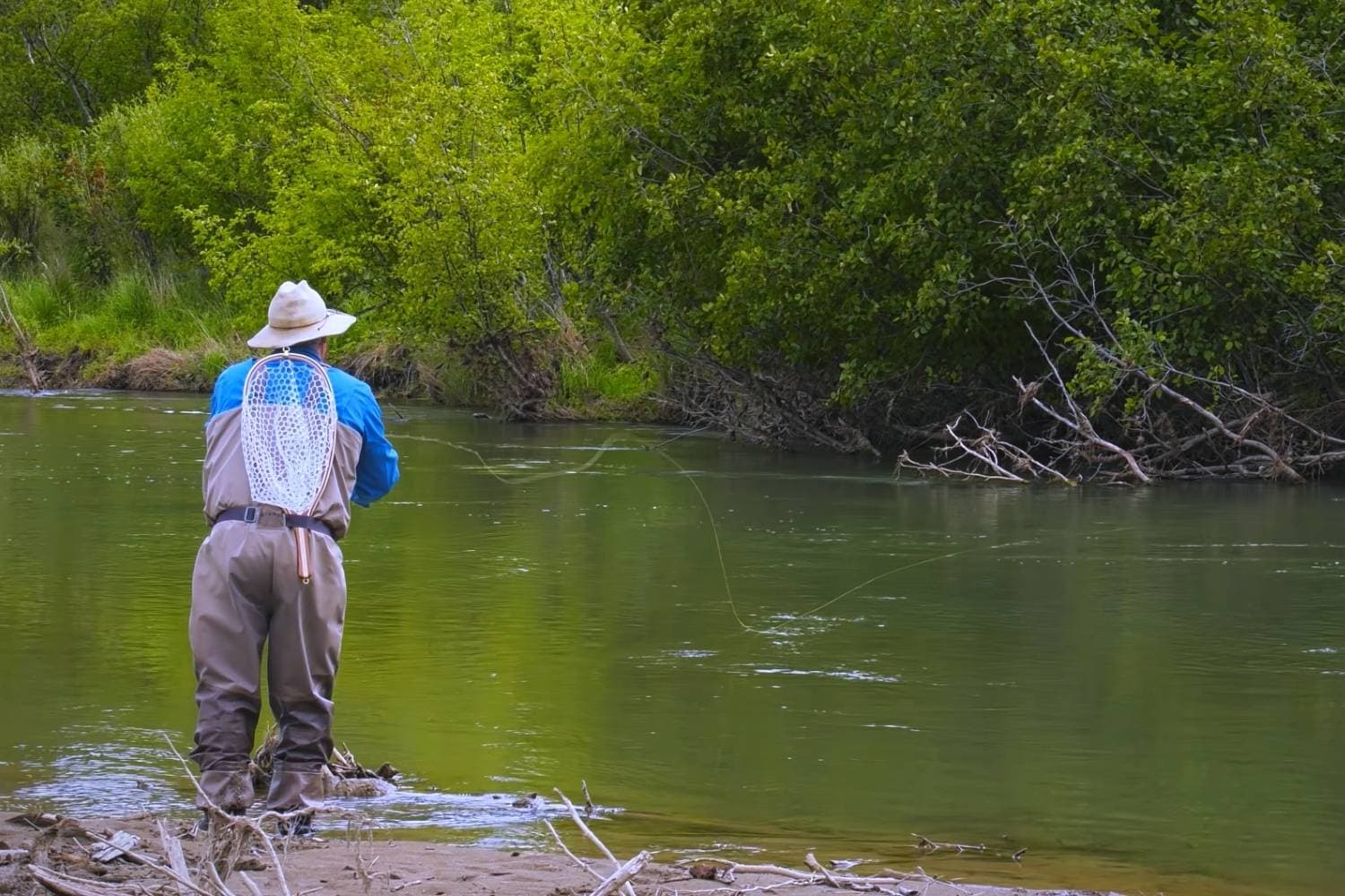 Tips For Fly Fishing Mouse Patterns 2024 Guide