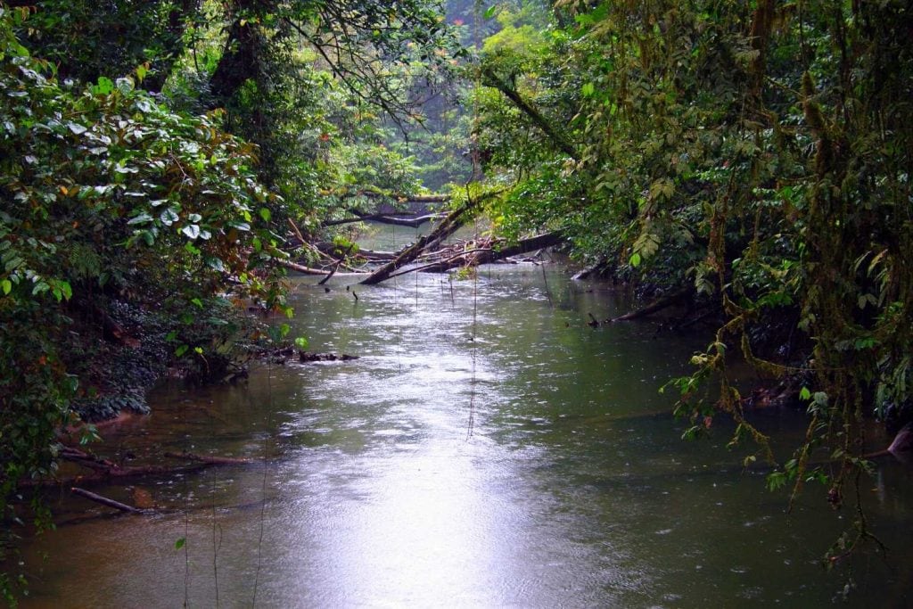 during the rain