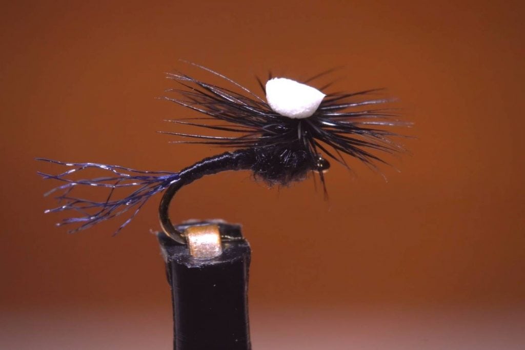 Brooks Sprout Midge