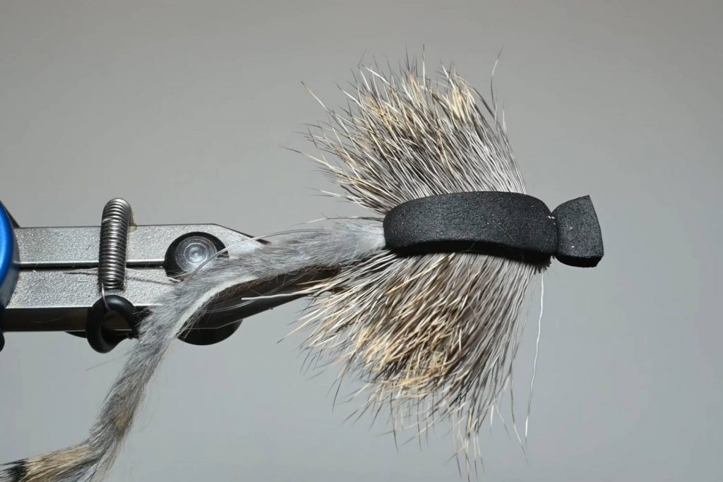 Morrish mouse