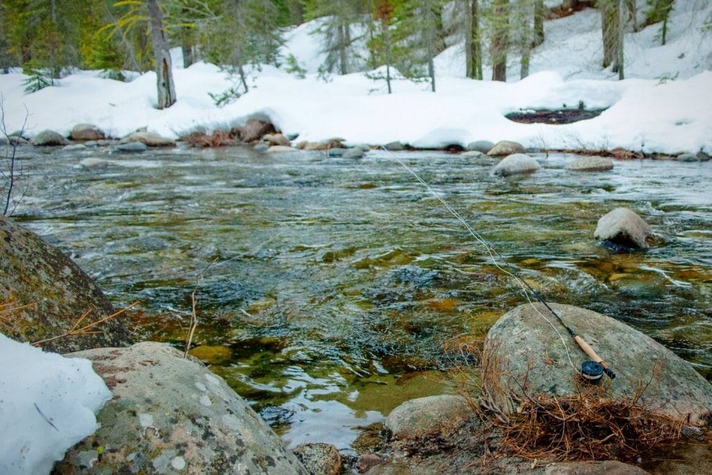 Nymphing In Winter