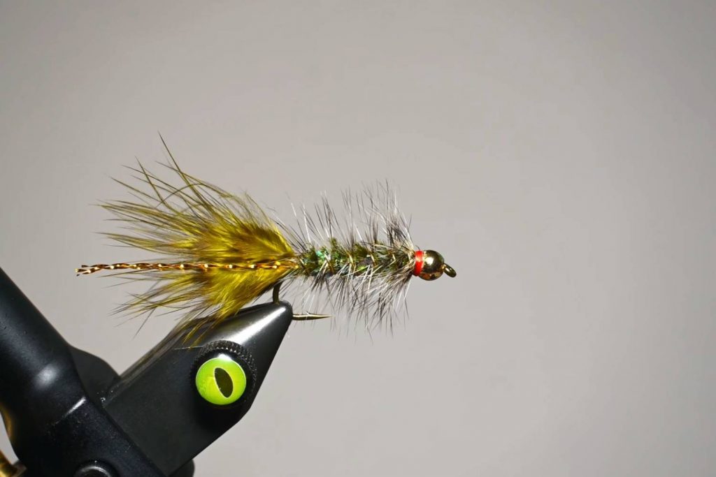Woolly Bugger