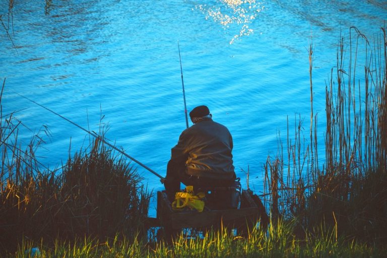Trout Fishing Without a Fly Rod Fly Fisher Pro