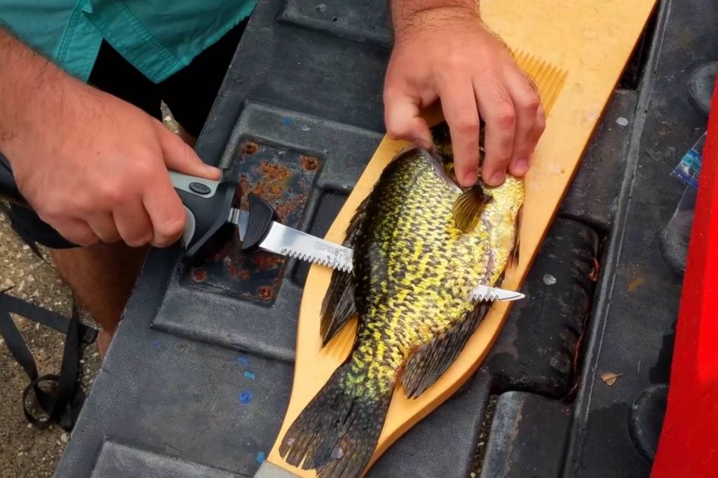 Rapala Heavy Duty Corded Fillet Knife Combo