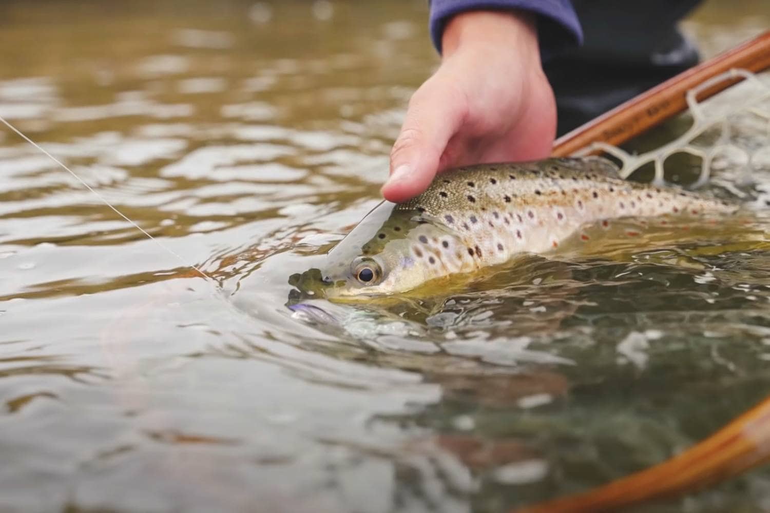 Fly Fishing Industry Statistics